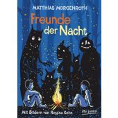 Freunde der Nacht, Morgenroth, Matthias, dtv Verlagsgesellschaft mbH & Co. KG, EAN/ISBN-13: 9783423761161