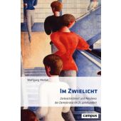 Demokratiedämmerung?, Merkel, Wolfgang, Campus Verlag, EAN/ISBN-13: 9783593517803