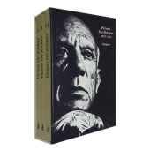Der Zeichner, Picasso, Pablo, Diogenes Verlag AG, EAN/ISBN-13: 9783257021240