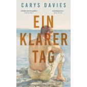 Ein klarer Tag, Davies, Carys, Luchterhand Literaturverlag, EAN/ISBN-13: 9783630877709