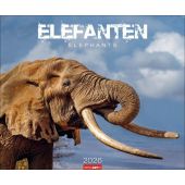 Elefanten Kalender 2026, Weingarten, EAN/ISBN-13: 9783839901908