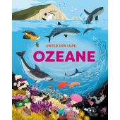Unter der Lupe: Ozeane, Richards, Jon, Laurence King Verlag GmbH, EAN/ISBN-13: 9783962443047