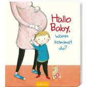 Hallo Baby, wann kommst du?, Hauenschild, Lydia, Ars Edition, EAN/ISBN-13: 9783760798561