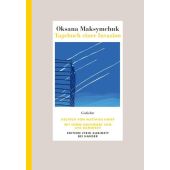 Tagebuch einer Invasion, Maksymschuk, Oksana, Carl Hanser Verlag GmbH & Co.KG, EAN/ISBN-13: 9783446284562