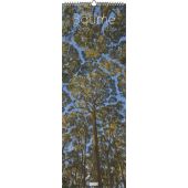 Bäume 2026 - Foto-Kalender - Wand-Kalender - King-Size - 34x98, DUMONT Kalenderverlag Gmbh & Co. KG, EAN/ISBN-13: 4069095003514