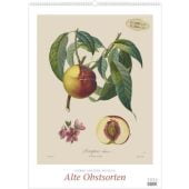 Pierre Antoine Poiteau: Alte Obstsorten 2026 - DUMONT Kunst-Kalender - Poster-Format 50 x 70 cm, EAN/ISBN-13: 4069095006669
