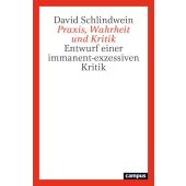Praxis, Wahrheit und Kritik, Schlindwein, David, Campus Verlag, EAN/ISBN-13: 9783593521107