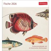 Fische Postkartenkalender 2026 - Postkartenkalender mit 53 historischen Zeichnungen, Harenberg, EAN/ISBN-13: 9783840037917