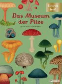 Das Museum der Pilze, Gaya, Ester/Scott, Katie, Prestel Verlag, EAN/ISBN-13: 9783791374529