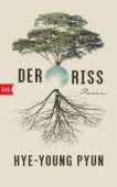 Der Riss, Hye-young, Pyun, btb Verlag, EAN/ISBN-13: 9783442757718