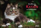 DUMONTS Katzenkalender 2022 - Broschürenkalender - Wandkalender - mit Schulferienterminen - Format 42 x 29 cm, EAN/ISBN-13: 4250809647791
