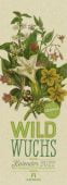 Wildwuchs - Botanische Illustrationen - Graspapier-Kalender 2022, Pratt, Anne, Ackermann Kunstverlag, EAN/ISBN-13: 9783838422299