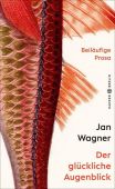Der glückliche Augenblick, Wagner, Jan, Carl Hanser Verlag GmbH & Co.KG, EAN/ISBN-13: 9783446269439