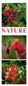 Nature - Triplet-Kalender 2022, Ackermann Kunstverlag, EAN/ISBN-13: 9783838422565