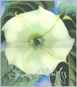 One Hundred Flowers, Georgia O`Keeffe, Georgia O´Keeffe, Callaway, EAN/ISBN-13: 9780935112412