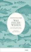 Was Fische wissen, Jonathan Balcombe, mareverlag GmbH & Co oHG, EAN/ISBN-13: 9783866482838